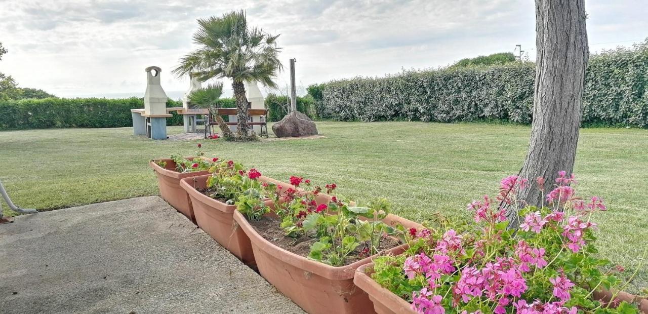 Casa Vacanza Sardegna Villa Valledoria  Eksteriør billede